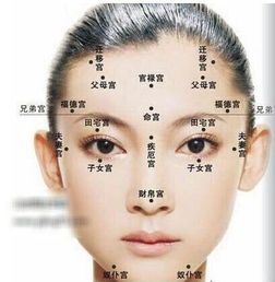 什么面相的人婚姻幸福.jpg 什么面相的人婚姻幸福.jpg