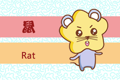 2019年屬鼠的命運如何(圖文)