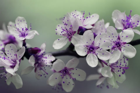 2019年農歷九月初一出殯吉不吉利,今天時辰吉兇查詢！(圖文)