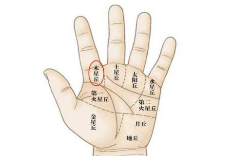 怎么看女人的手相？