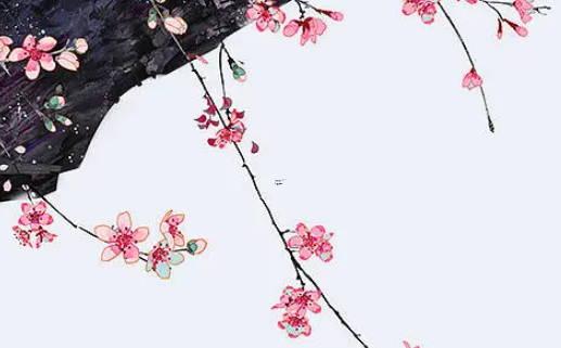 大金豬屬豬人2022年會***離婚嗎