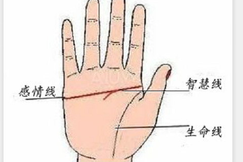 好的婚姻線長什么樣?深且很清晰很直