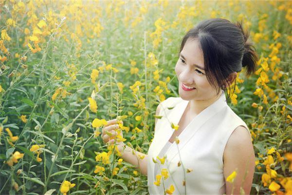 重妻紋手相 重妻紋手相