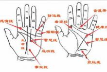 生命線分叉說明什么?生命線分叉成人字形
