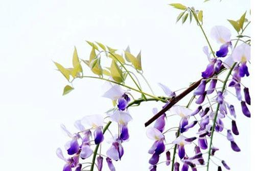 生辰八字取名免費(fèi)測(cè)試打分
