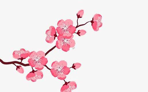 譚姓女孩取名字打分 譚姓女孩取名字打分