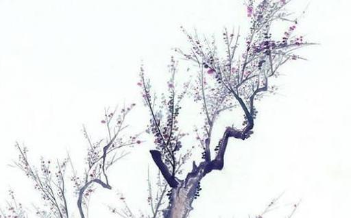 1968年屬猴的今年多大歲數 屬猴1968年今年多大了