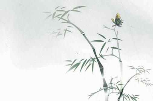 屬兔的男士感情婚姻問題，屬兔男的感情性格特點