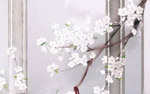 八字命理小腿什么五行代表 小腿相學 八字命理小腿什么五行代表 小腿相學