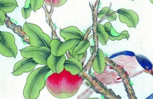 屬豬生肖配對(duì)表