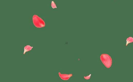 算命生辰八字天狗什么意思 八字里天狗是什么意思 算命生辰八字天狗什么意思 八字里天狗是什么意思