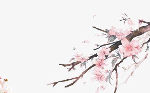 八字為什么辰不見戌 辰和戌為什么不是純陽