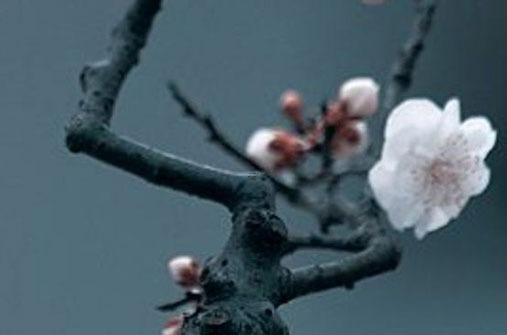 2023屬羊女人的運(yùn)勢和財(cái)運(yùn),1967年的羊2023年的運(yùn)勢 2023屬羊女人的運(yùn)勢和財(cái)運(yùn),1967年的羊2023年的運(yùn)勢