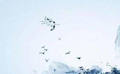 屬兔客廳西墻掛什么畫 屬兔的人客廳掛什么畫