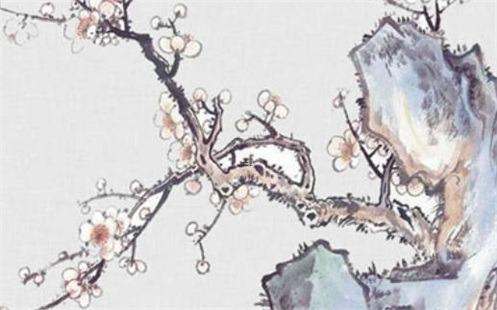 84年屬鼠女人婚姻 84年屬鼠人的婚姻與命運女