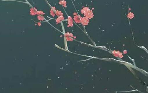 算命先生為什么要我的大名和八字 算命為什么一定要給錢 算命先生為什么要我的大名和八字 算命為什么一定要給錢