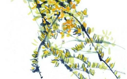 生辰八字怎么知道自己缺什么五行 生辰八字怎么看缺什么五行