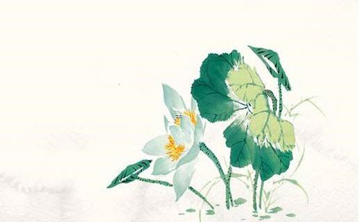女命八字純陰配什么八字男 女命八字純陰是什么意思