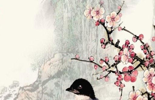 2023屬猴的幸運色是什么，2023年屬猴的幸運色是什么顏色
