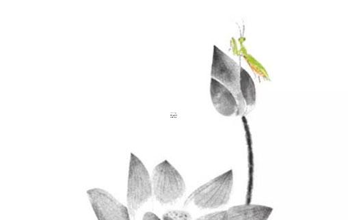 塌鼻子適合什么墨鏡好看的 塌鼻子適合戴眼鏡嗎 塌鼻子適合什么墨鏡好看的 塌鼻子適合戴眼鏡嗎