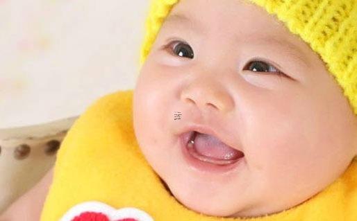 聰明可愛的生肖狗寶寶名字大全 聰明可愛的生肖狗寶寶名字大全四個字