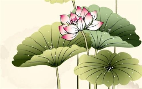 培在八字是什么意思 培在名字里讀幾聲 培在八字是什么意思 培在名字里讀幾聲
