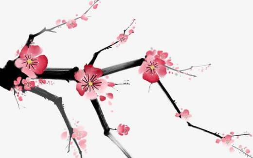 射手座的性格詳細資料 射手座性格分析優缺點大全