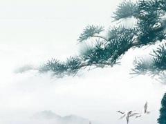 屬馬的和什么屬相結婚配呢 屬馬的和什么屬相婚配好