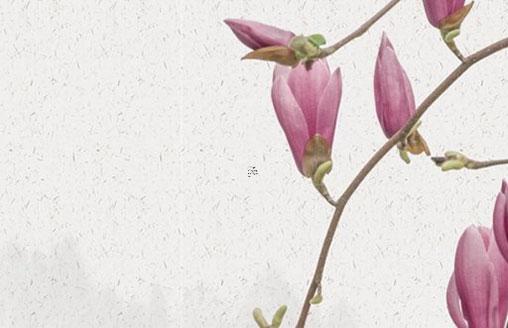 陰歷2月24日出生的人 陰歷2月24日出生的人好嗎