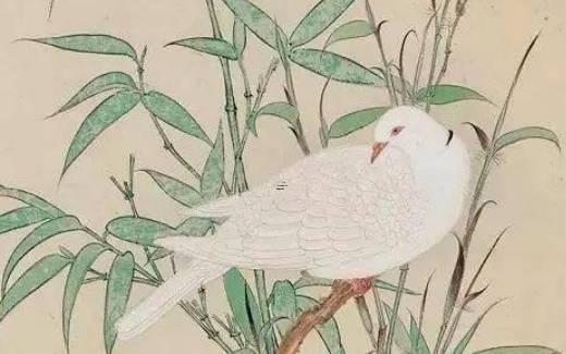 8月14日是好日子嗎 8月哪天是好日子？