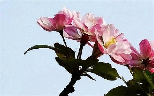 海鹽縣于城鎮(zhèn)八字村經(jīng)濟(jì)合作社 海鹽縣于城鎮(zhèn)有哪幾個(gè)村
