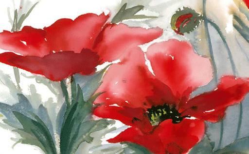 2023年屬兔子與屬豬 2023年屬兔的命運