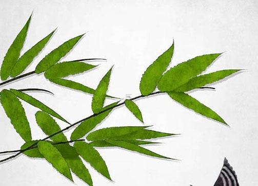 2023年屬蛇打牌時(shí)辰，屬蛇2023年每日打牌坐哪里好