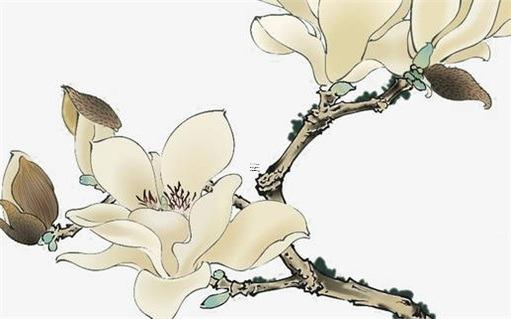 屬蛇的后代屬什么最好，屬蛇的人子女適宜屬什么