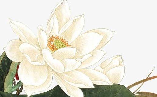 摩羯男突然對(duì)我很主動(dòng) 摩羯男突然變主動(dòng)