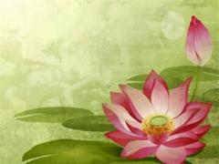 算命龍旗是什么意思 龍旗是什么動(dòng)作