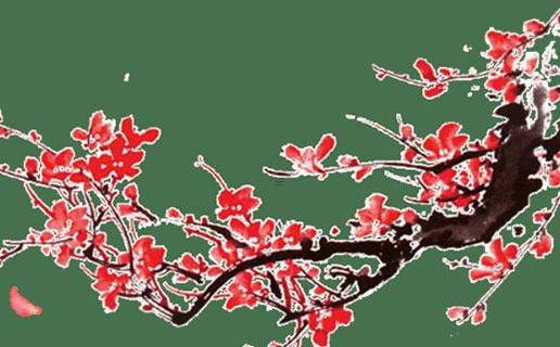 搞笑的網(wǎng)游寵物名字好聽的 搞笑網(wǎng)游起名大全集