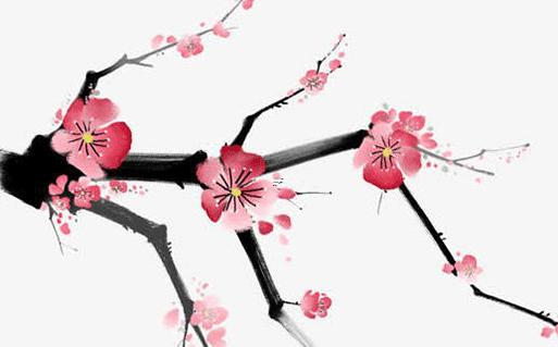 命運本該如此什么意思 命運本質