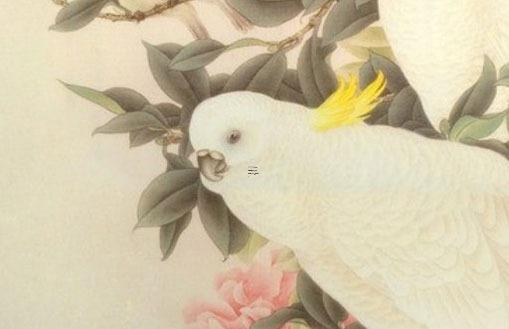 屬猴的不宜婚配的屬相，屬猴的不宜和屬什么的結婚？