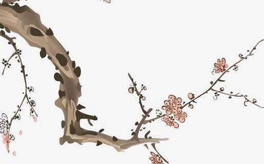 四柱都是丁命運如何 八字四個丁命不長