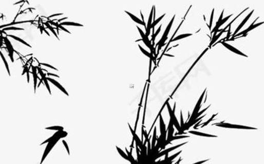 算命的說傷是什么意思 算命中傷子是啥意思