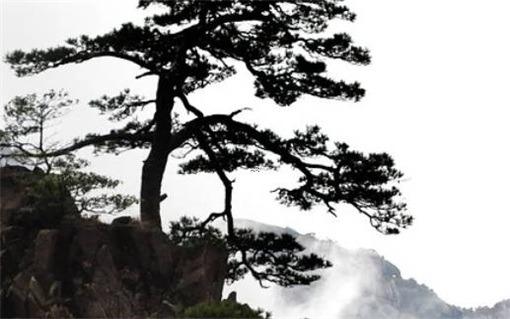 輸入出生日期查五行 輸入出生日期查五行屬什么