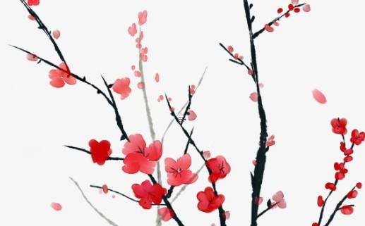 生辰八字主要是什么意思 生辰八字是什么意思怎樣計(jì)算生辰八字