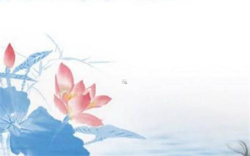 2007年生肖是什么 2007年什么生肖年