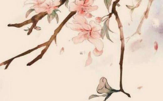 12生肖更佳結(jié)婚年齡 12生肖最佳結(jié)婚年齡表 12生肖更佳結(jié)婚年齡 12生肖最佳結(jié)婚年齡表