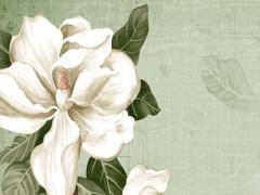算命如何知道自己事業(yè)方位好不好 如何看自己的事業(yè)運在什么方向