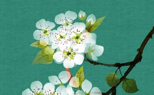 幾招教你旺桃花催姻緣 怎樣催旺桃花姻緣