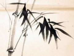 95屬豬2023年幾歲,1995屬豬男2023年全年運(yùn)勢