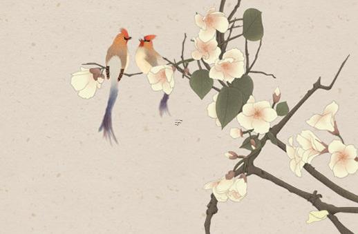 柔在五行中屬什么 柔在五行中是什么屬性 柔在五行中屬什么 柔在五行中是什么屬性