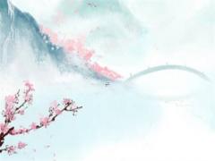屬豬的人一生婚姻,屬豬人有幾段婚姻